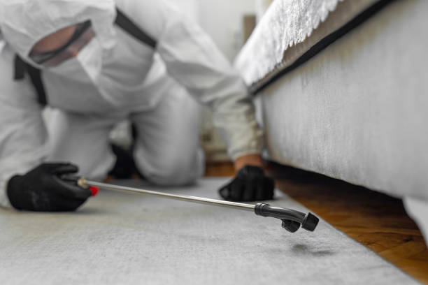 Professional Termite Control technician working in Washington County County, VT
